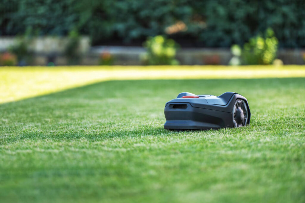 robot koszący dobra szczecińska